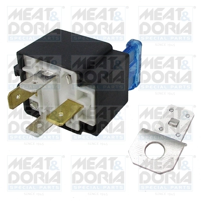 Multifunctional Relay
